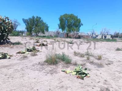 EXCELENTE TERRENO DE 5.000 M² EN MAIPÚ – IDEAL PARA DESARROLLO E INVERSIÓN - 3