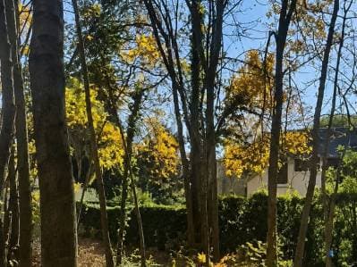 Lote en venta – Excelente oportunidad para inversores - 4