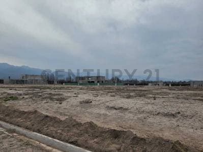 LOTE EN VENTA EN PINAR VISTALBA - VISTALBA, LUJÁN DE CUYO - 3