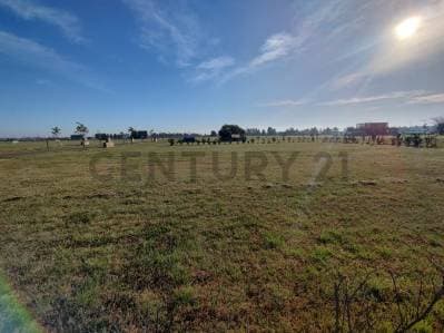 VENTA - TERRENOS EN LOS PASOS 3 - Funes - 5
