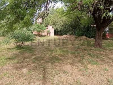 LOTE TERRENO - 3