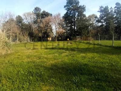 Terreno en Venta en Barrio El Rodeo - 5