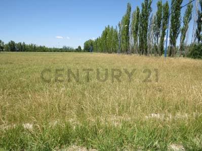 Venta de Terreno en Loteo Los Sauces - 2