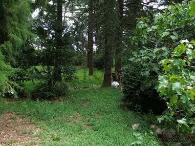 EXTENSO TERRENO – OPORTUNIDAD ÚNICA - 4