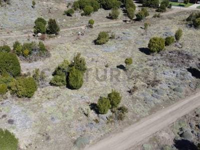 VENTA LOTE SAN MARTIN DE LOS ANDES . PUEBLO CHAPELCO. - Principal