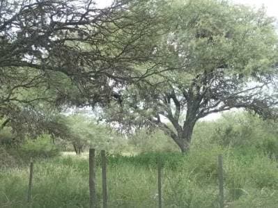 VENTA LOTE EN OPORTUNIDAD SAN LORENZO VALLE TRASLASIERRAS - 2