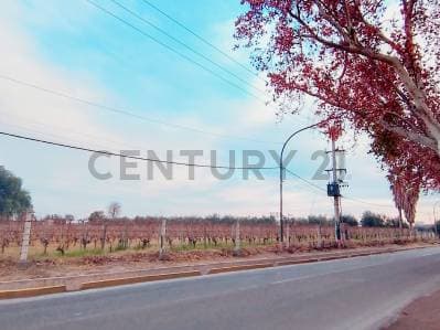 Century 21 López vende departamento en pozo en Guaymallén - 3