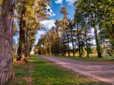 VENTA Lote 1000 m² en Barrio Isla Tres Pinos, General Rodríguez - 4
