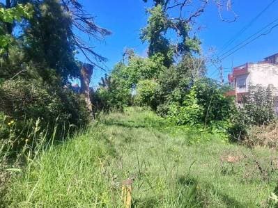 Lote 5000 m² sobre Avenida en Hurlingham – Ideal Depósito, Corralón o Emprendimiento - 3