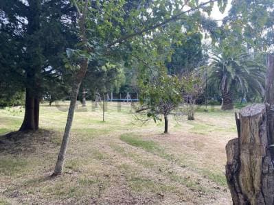 Lote en Venta en Barrio Las Ranas - Paraje La Balandra - Berisso - 3
