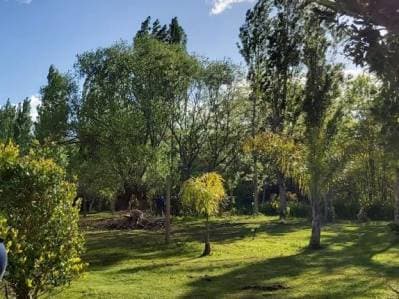 VENTA CASA QUINTA CAMPO 2,5 HECTAREAS, LOS TALAS, BERISSO - 4