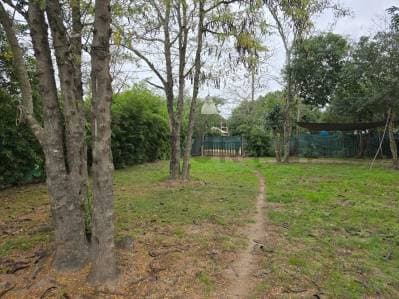 OPORTUNIDAD EN ANISACATE - 3