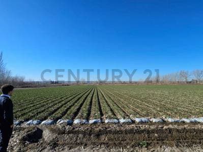 FINCA EN VENTA | 2 HECTÁREAS | TUPUNGATO, MENDOZA - Principal