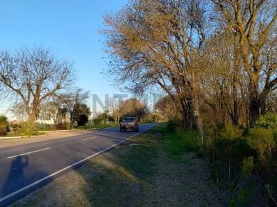 Lotes en venta en Fincas La Soñada - 4