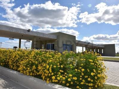 Venta de Lote en Santa Clara al Sur, San Vicente - 5