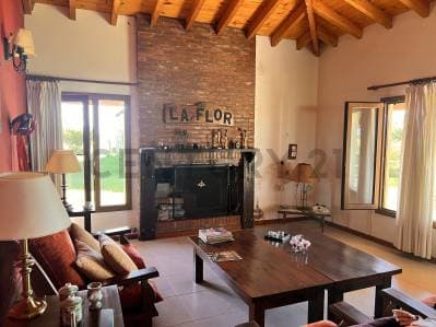 CAMPO EN VENTA EN SALADILLO 617 HA. - 2