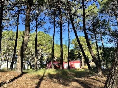 Venta Lote en Pinamar Norte - Costa Atlantica - 3