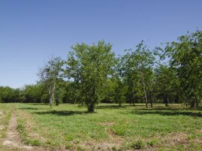 Lote en venta - 2