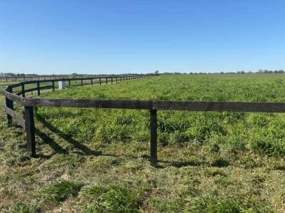 LOTE EN VENTA – CHACRAS DE LA TRINIDAD – CAÑUELAS - 4