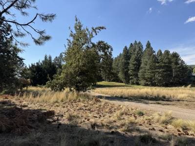 VENTA TERRENO SAN MARTIN DE LOS ANDES. CHAPELCO GOLF - Principal