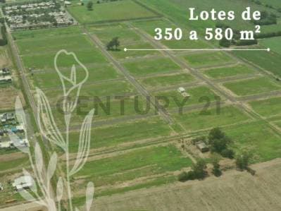 Lote de 302m2 en Arroyo Seco - Francisco I - todos los servi - 5