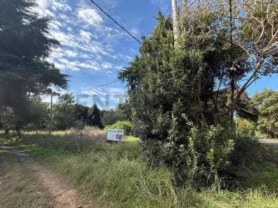11 BIS Y 602 -Lote en venta La Plata - 5