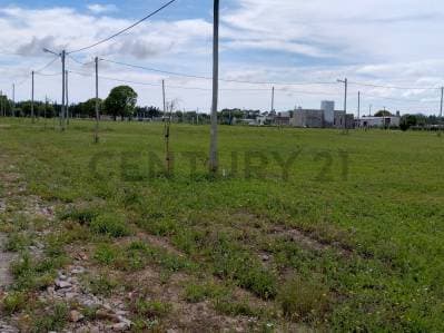143 y 620 Lotes en venta Arana - 4