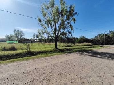 LOTE EN TDS 2 LINDERO A PUERTO ROLDAN - 4