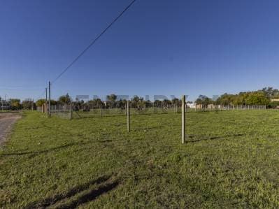 Lote 29 e/483 y 484 en venta, Gonnet - Principal