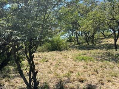 Lote en venta – Lomas de Mendiolaza Manzana 7 – Lote 10 - 2