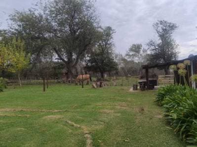 VENTA COMPLEJO DE CABAÑAS RURALES EN PARDO ( CABAÑAS/QUINTA/ CONJUNTO)- LAS FLORES - Principal