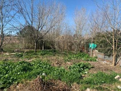 Lote propio en venta en zona residencial de City Bell. Tiene una superficie total de 402,3 mts2,... - 2