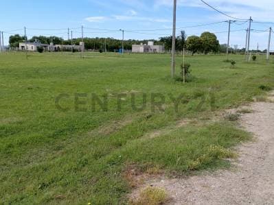 143 y 620 Lotes en venta Arana - 5