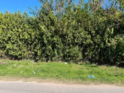 Venta en bloque – 3 lotes linderos en Villa Elvira, La Plata - 5