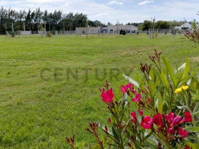 143 y 620 Lotes en venta Arana - 2