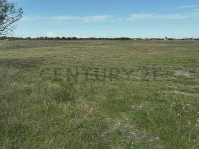 Terreno en venta - Los Talas (Berisso) - 4