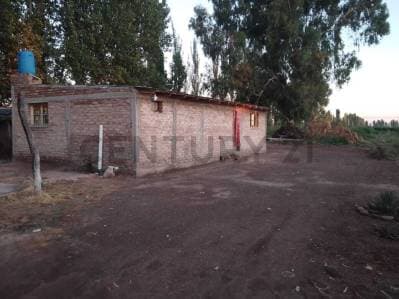 Finca productiva en venta. - 3