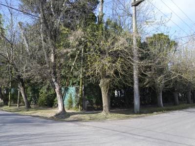 Venta Lote Esquina 984 m2 | Calle 477 y 26 - City Bell - La Plata - 4