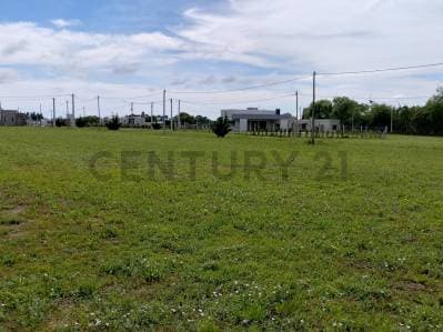 143 y 620 Lotes en venta Arana - 3