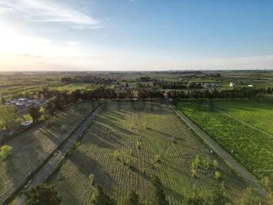 VENTA LOTE EN ARANA - LOS PINARES - Principal