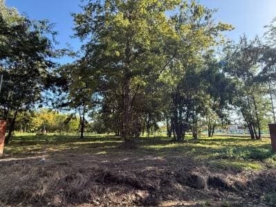 VENTA LOTE INTERNO BARRIO PAMPA PILAR - 4