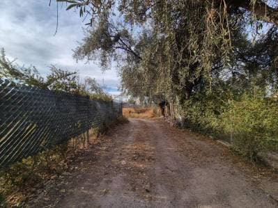 C21 Lucio Barroso Vende Terreno en Coquimbito - 2