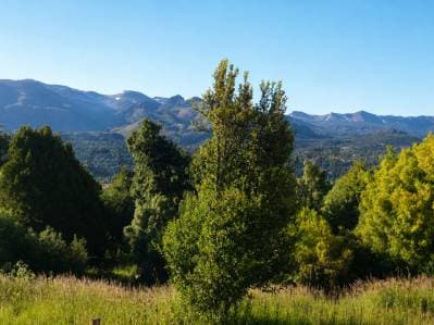Lote en Venta | 1.938 Metros | Terrazas de Bella Vista | San Martín de los Andes - 2