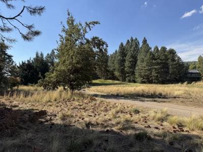 VENTA TERRENO SAN MARTIN DE LOS ANDES. CHAPELCO GOLF - 4