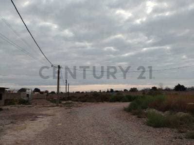LOTE EN VENTA, BARRIO ALTO DEL ESTE, SAN MARTIN, MENDOZA - 3
