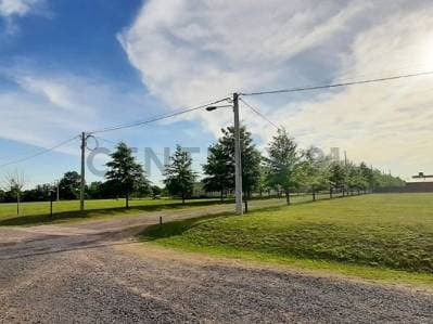 Lotes en venta Ibarlucea Barrio cerrado Las Casuarinas - Principal