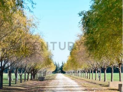Lotes en Campos de Roca - 3