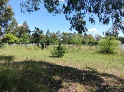 Lote terreno en venta en Arturo Segui "Los Aromos" - 3