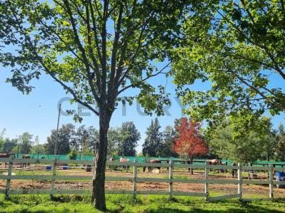Venta de terreno en Pilar, Haras del Sol - 4