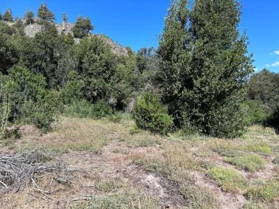 LOTE EN VENTA EN VILLA MELIQUINA. SAN MARTIN DE LOS ANDES - Principal